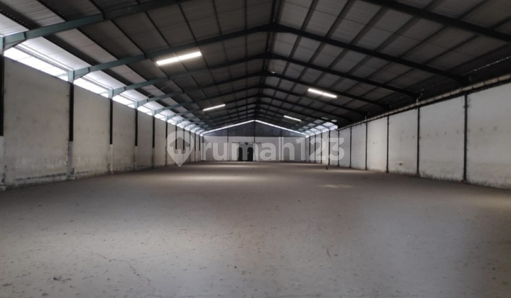 Ready-to-Use Warehouse in Tugu Semarang 2