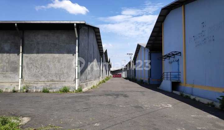 Gudang Bersama Di Tambak Aji Semarang