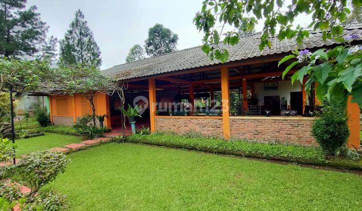 Dijual Cepat Mansion Dan Resto Asri di Pancawati Bogor  1