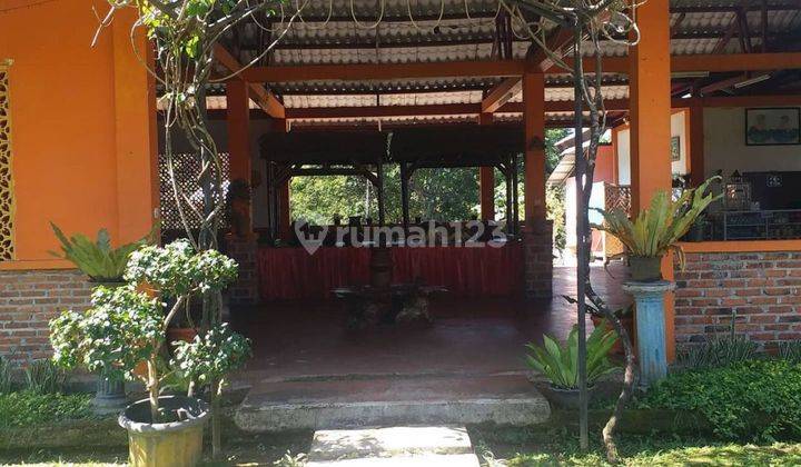 Dijual Cepat Mansion Dan Resto Asri di Pancawati Bogor  2