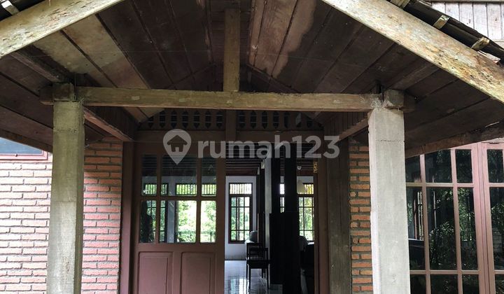 Dijual Tanah Bogor Pancawati Cikreteg Luas 2 Hektar 15