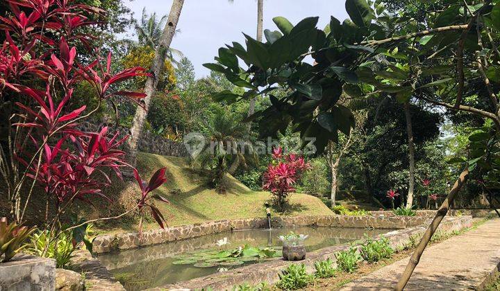 Dijual Tanah Bogor Pancawati Cikreteg Luas 2 Hektar 20