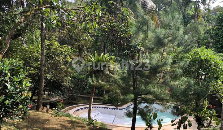 Dijual Tanah Bogor Pancawati Cikreteg Luas 2 Hektar 26
