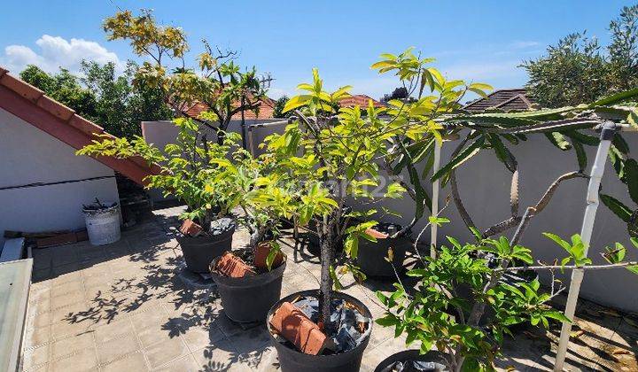 Rumah Terawat Dengan Pool di Central Renon , Denpasar 1