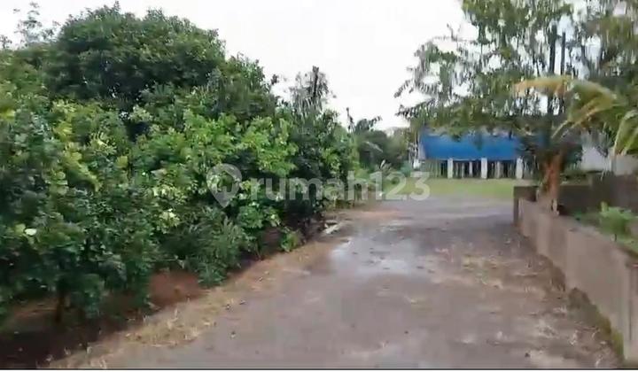 Dijual Tanah Peternakan di Subang Jawa Barat