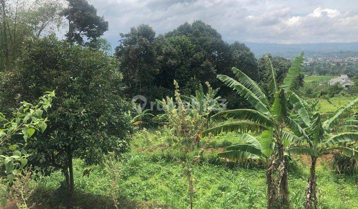 Dijual Cepat Pabrik Dan Gudang Murah Dan Strategis Ciawi Bogor  11