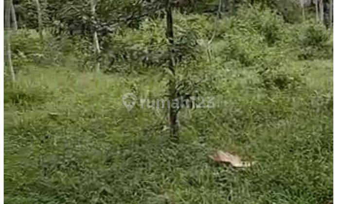 Dijual Cepat Tanah Di Sentul Bogor 2