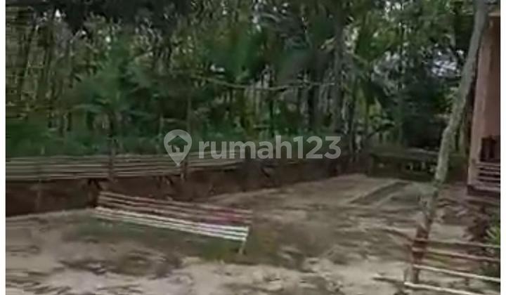 Dijual Cepat Tanah Di Lebak Banten 1