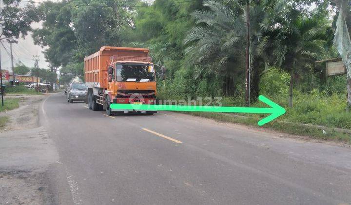 Dijual Cepat Tanah Di Sajira Lebak Banten 3