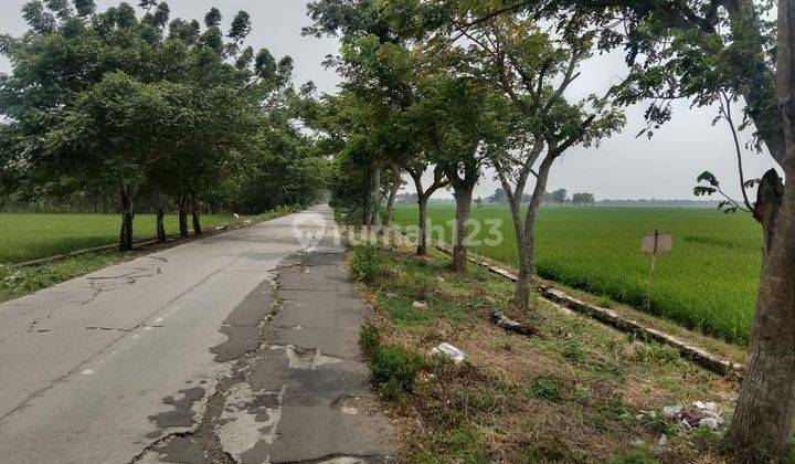Cepat Tanah Untuk Perumahan Di Bekasi
