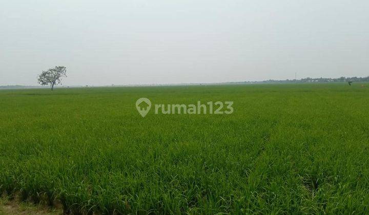 Cepat Tanah Untuk Perumahan Di Bekasi