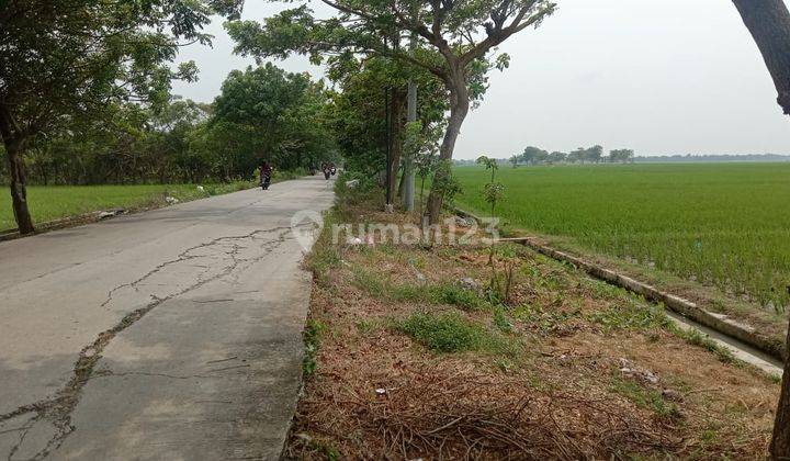 Cepat Tanah Untuk Perumahan Di Bekasi