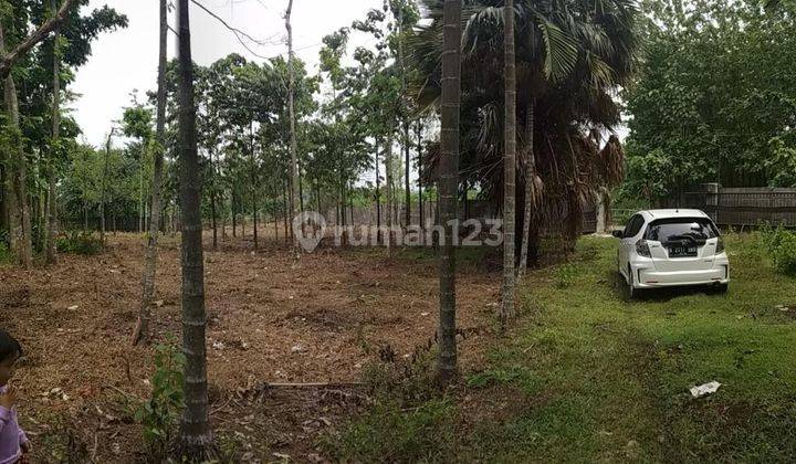 Dijual Tanah Untuk Perkebunan Peternakan Di Cileungsi Bogor SHM 2