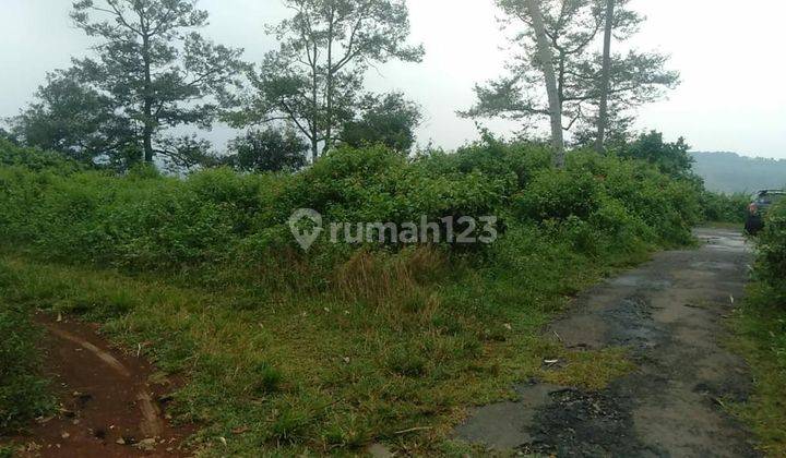 Dijual Tanah Untuk Zona Perkebunan Peternakan Jonggol Bogor SHM 2