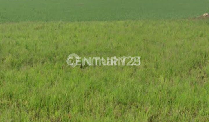 Strategic Industrial Land in Karawang Strategic Industrial Land in Karawang