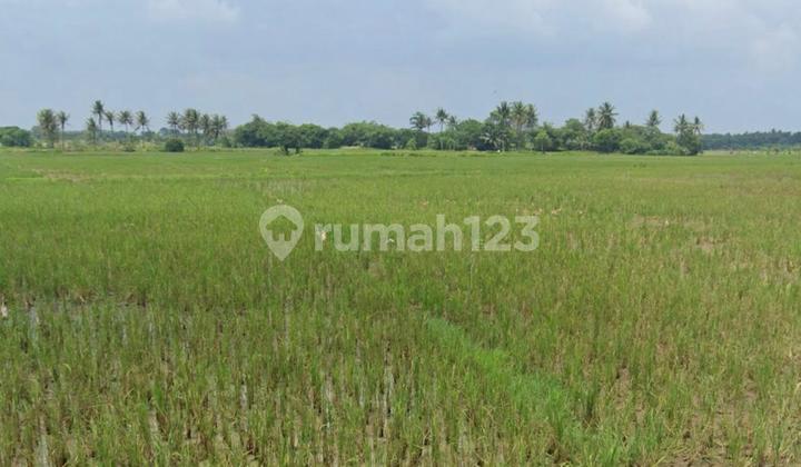Dijual Tanah Zona Perumahan Tangerang 1