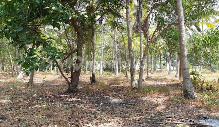 DIJUAL TANAH PARIWISATA DI PULAU TIDUNG - KEPULAUAN SERIBU , JAKARTA