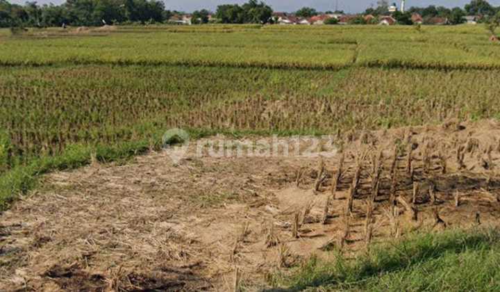 Dijual Tanah Industri di Pagadengan Subang Dijual Tanah Industri di Pagadengan Subang