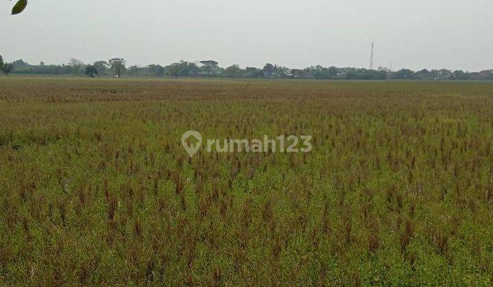 Dijual Tanah Di Pakuhaji Tangerang 2