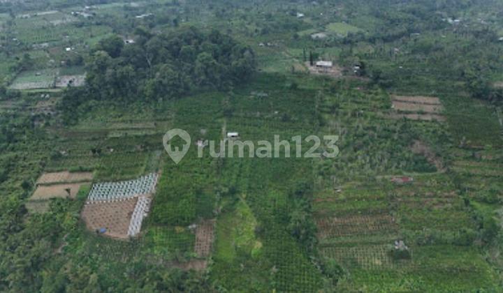 DIJUAL TANAH DI PAYANGAN BALI DIJUAL TANAH DI PAYANGAN BALI