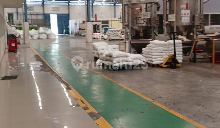FOR SALE: FACTORY IN NGANJUK, EAST JAVA