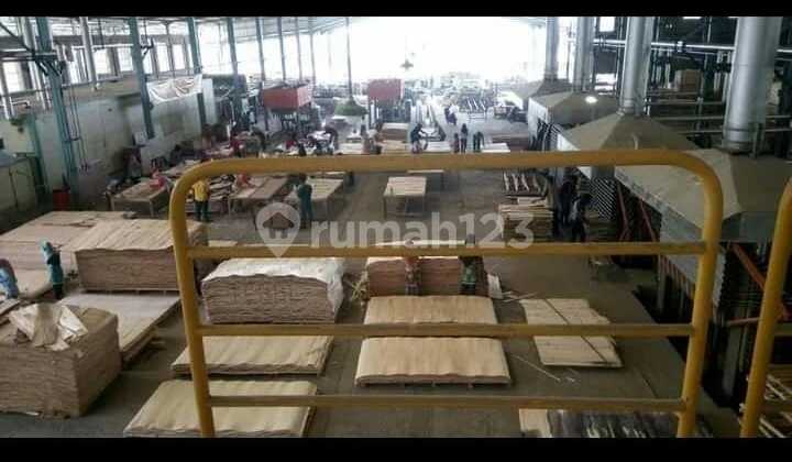 WOOD FACTORY FOR SALE IN JOMBANG, EAST JAVA