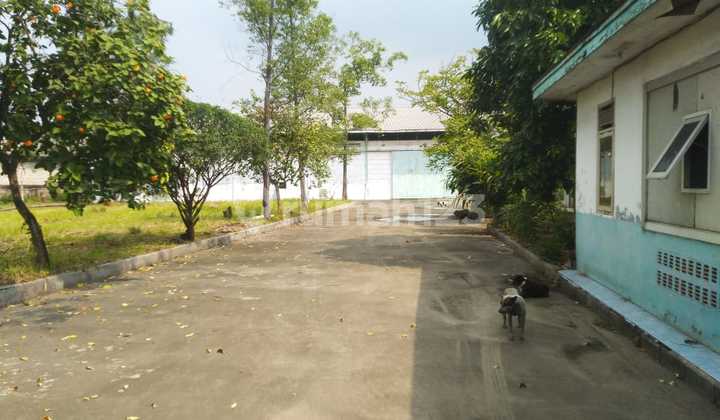 Jual Murah Lahan dan Pabrik Cikande Serang Tangerang