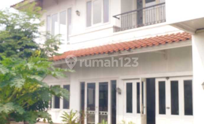 Rumah Mewah Tropical Clasic Old Money Kemang di Bawah Harga Pasaran