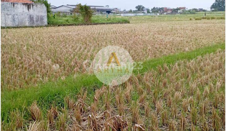 Jual Tanah Sawah di Katapang Cocok untuk Pabrik atau Gudang 1