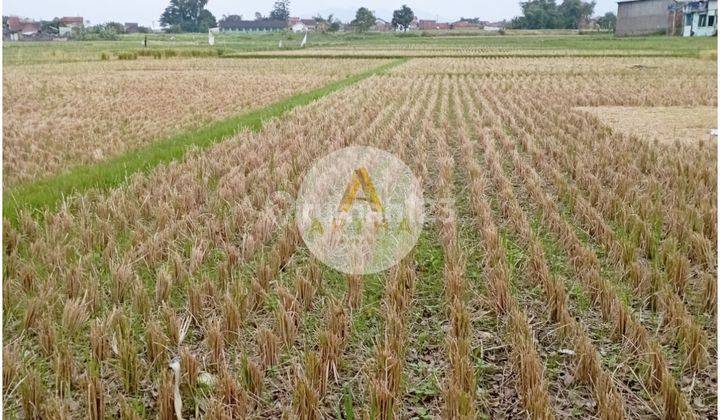 Jual Tanah Sawah di Katapang Cocok untuk Pabrik atau Gudang 3