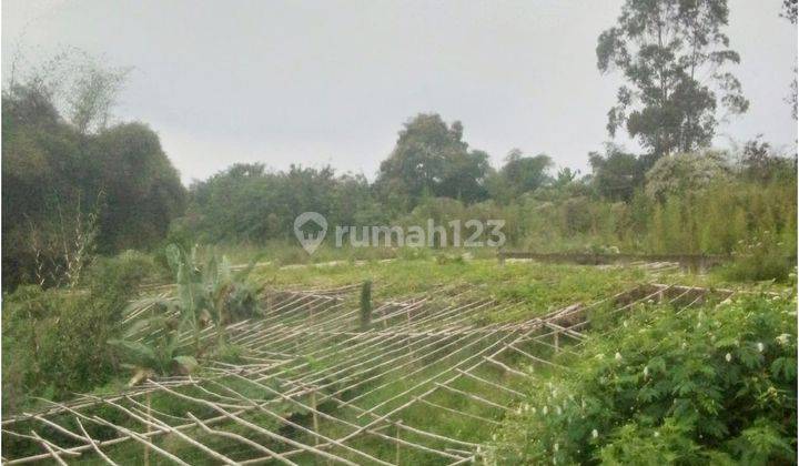 Tanah Kebun di Pasir jambu Ciwidey Bisa untuk Villa 1