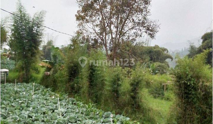 Tanah Kebun di Pasir jambu Ciwidey Bisa untuk Villa 2