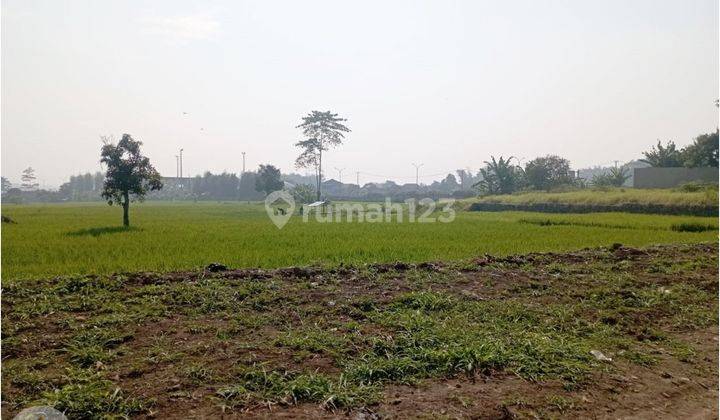 Tanah Exit Tol Soreang Cocok Untuk Usaha 2