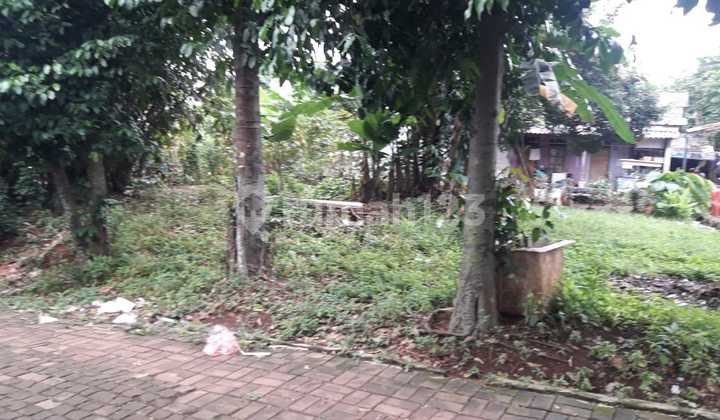 Quick Sale, Ready-to-Build Land Investment Price. Quick Sale, Ready-to-Build Land Investment Price.