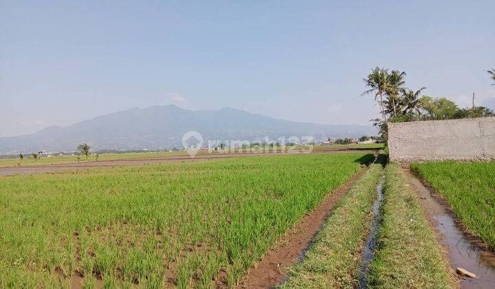 Tanah di Sukamanah Bojongkunci, Bandung 1