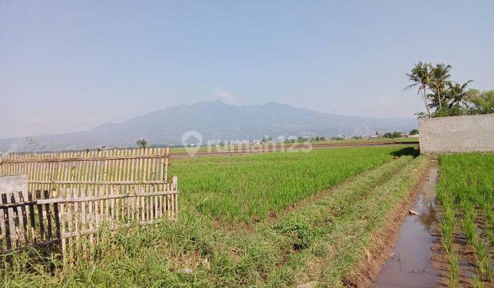 Tanah di Sukamanah Bojongkunci, Bandung 2