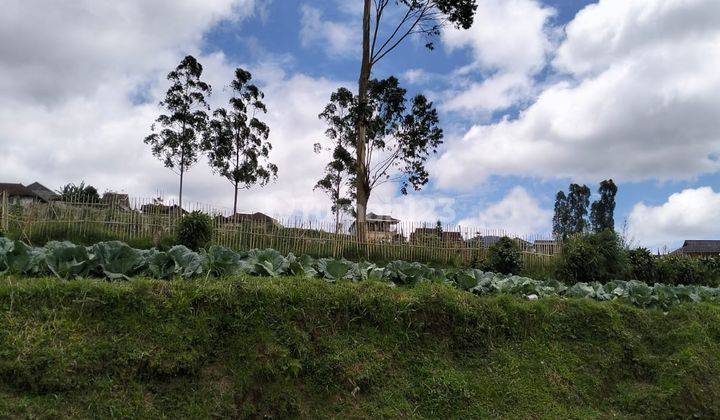 Dijual Tanah Mainroad View Danau Situ Cileunca Pangalengan   2