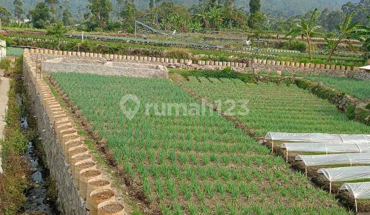 Dijual Tanah Padat Di Desa Wisata Ciwidey Dijual Tanah Padat Di Desa Wisata Ciwidey