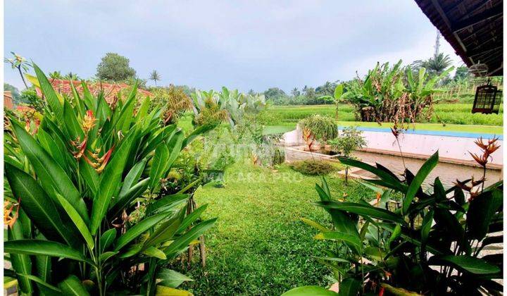 Dijual Cepat Villa Mewah Karangsari Garut View Gunung Dan Sawah 12