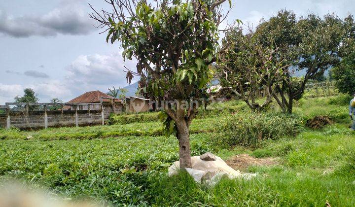 Dijual Tanah Cocok Untuk Villa di Gunung Puntang Cimaung Bandung  2