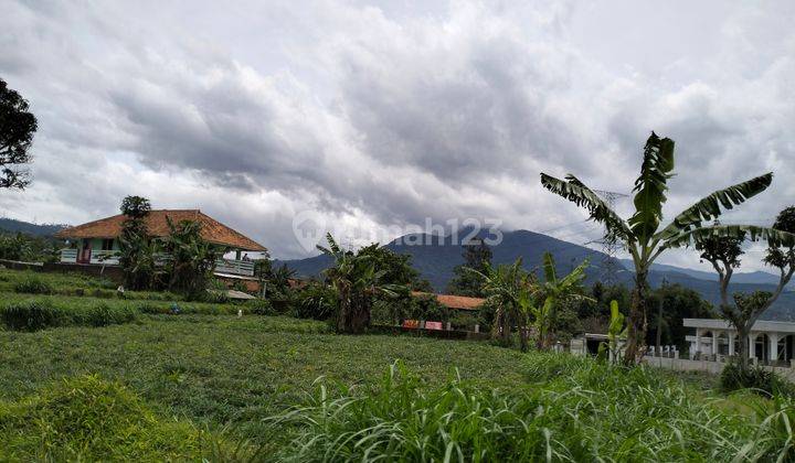 Dijual Tanah Cocok Untuk Villa di Gunung Puntang Cimaung Bandung  3