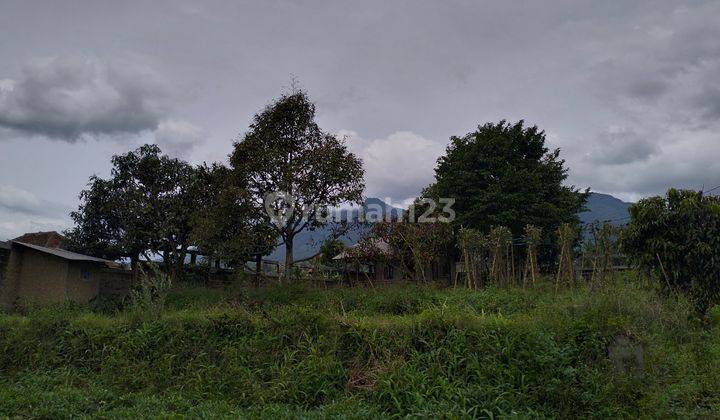 Dijual Tanah Cocok Untuk Villa di Gunung Puntang Cimaung Bandung  6