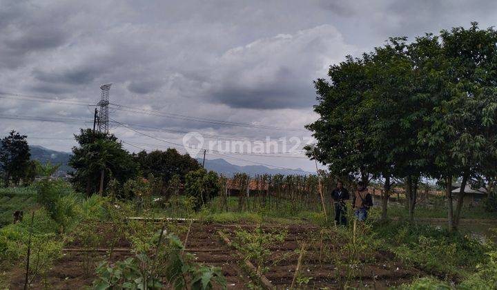 Dijual Tanah Cocok Untuk Villa di Gunung Puntang Cimaung Bandung  7