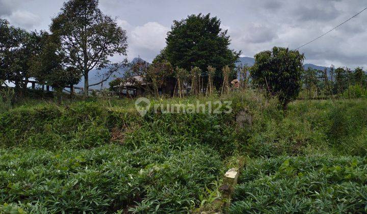 Dijual Tanah Cocok Untuk Villa di Gunung Puntang Cimaung Bandung  9