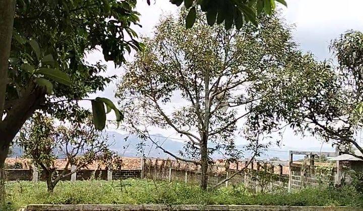 Dijual Tanah Cocok Untuk Villa di Gunung Puntang Cimaung Bandung  11
