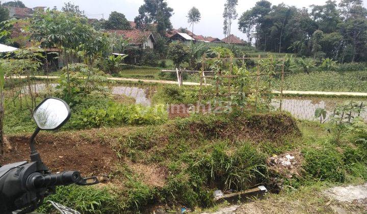 Dijual Tanah Cocok untuk Villa Dekat Gunung Puntang Cimaung Bandung 2