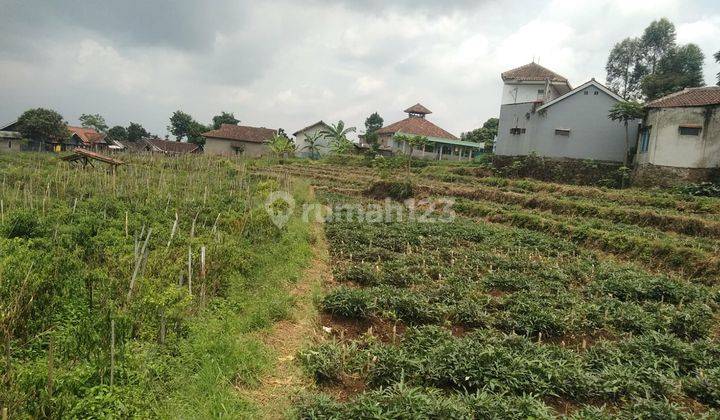 Dijual Tanah Cocok untuk Villa Dekat Gunung Puntang Cimaung Bandung 3