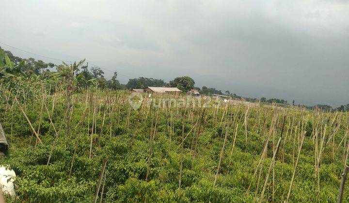 Dijual Tanah Cocok untuk Villa Dekat Gunung Puntang Cimaung Bandung 5