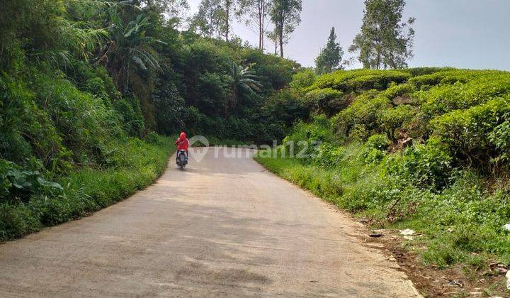 Tanah Padat Cocok Buat Resort dan Villa View  di Ciwidey Bandung 4