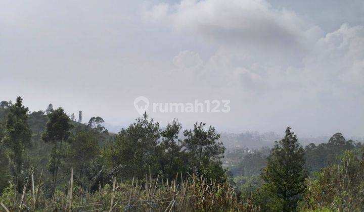 Tanah Padat Cocok Buat Resort dan Villa View  di Ciwidey Bandung 7